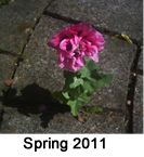 Spring 2011
