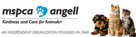 MSPCA Ad